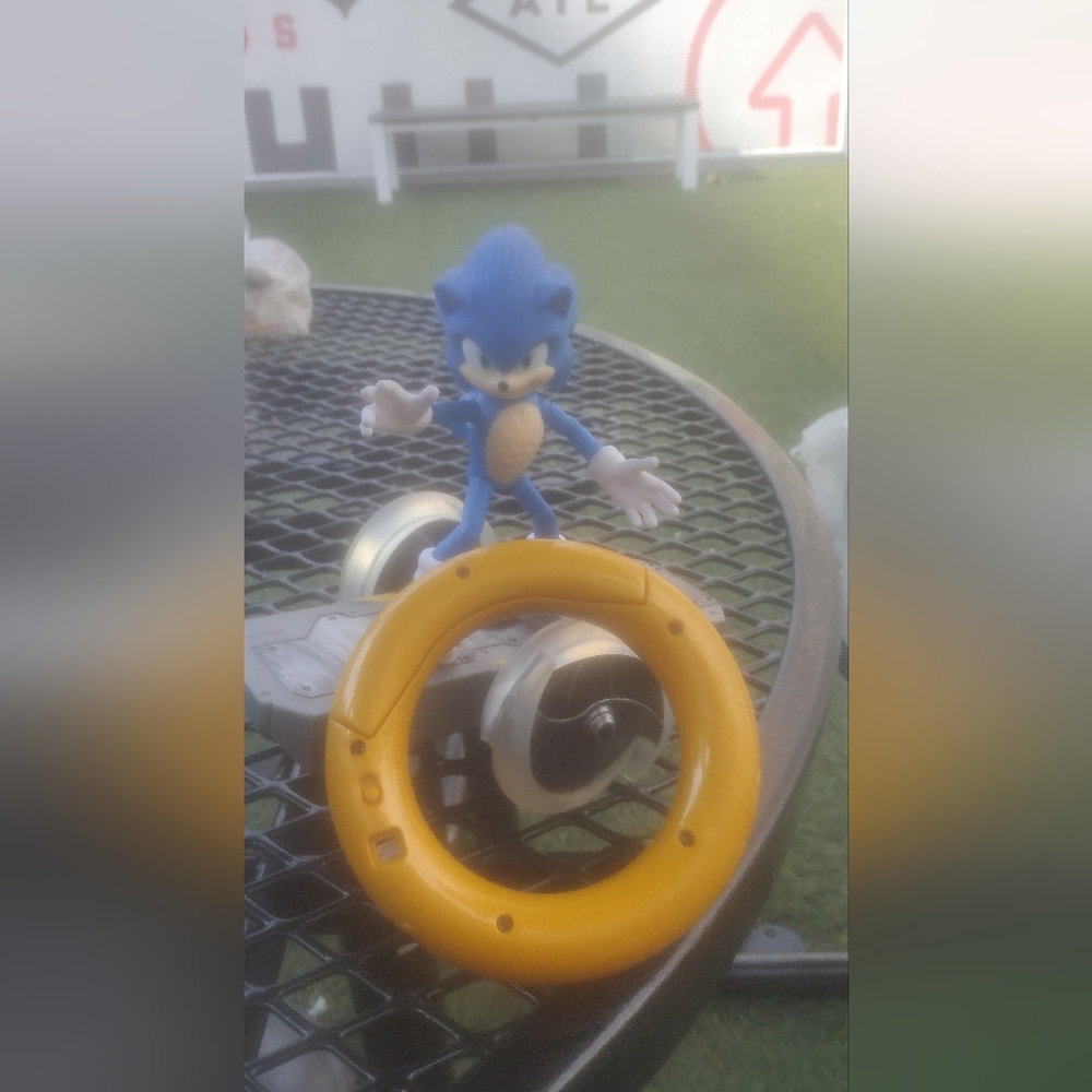 Sonic the hedgehog